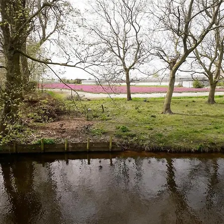 Bed & Breakfast De Gouwe Plek