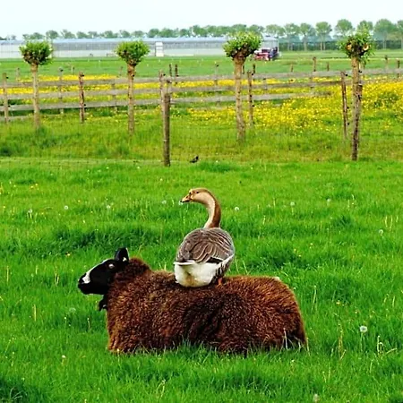 De Gouwe Plek 3* Hoogwoud