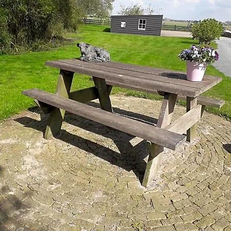 Bed & Breakfast De Gouwe Plek
