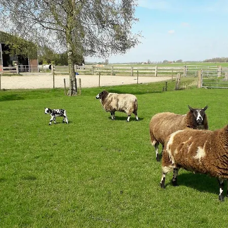 De Gouwe Plek Bed & Breakfast Hoogwoud