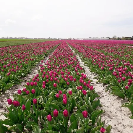 De Gouwe Plek 3* Hoogwoud