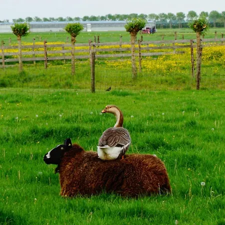 De Gouwe Plek Bed & Breakfast Hoogwoud