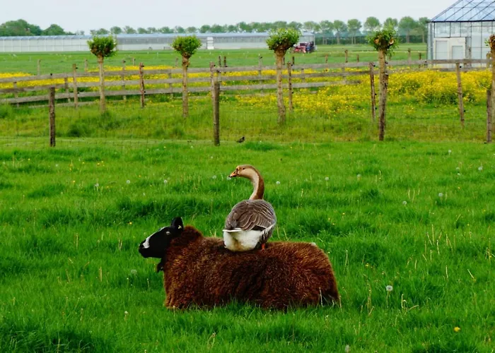 De Gouwe Plek Bed & Breakfast Hoogwoud